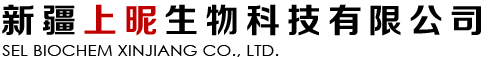 網(wǎng)絡(luò)經(jīng)濟(jì)主體信息